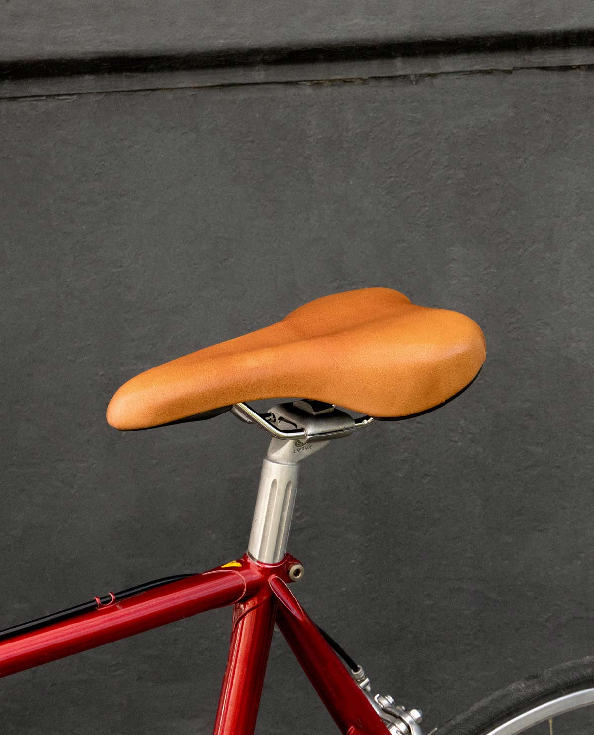 City Bike Bici Regina Trekking Sella Per Bicicletta Regina In Pelle